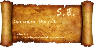Springer Bernát névjegykártya